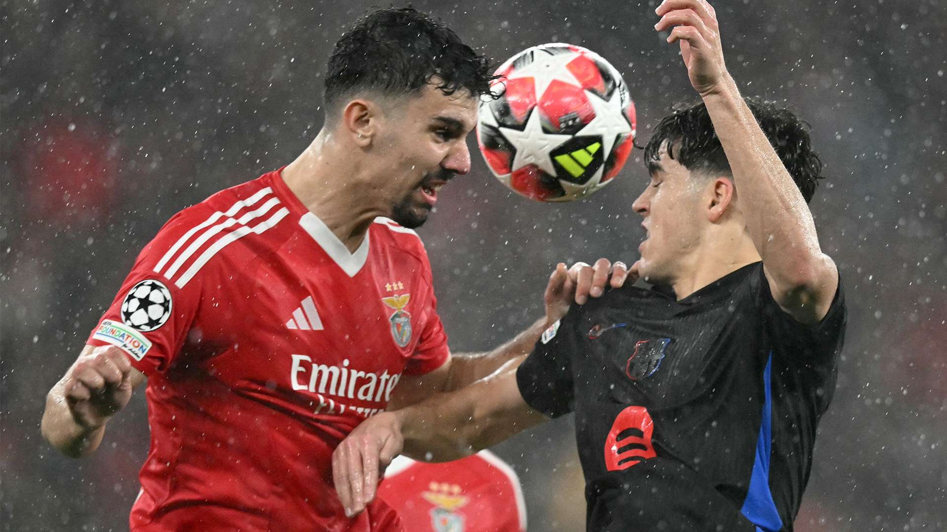 王曼昱3日载誉回哈尔滨.